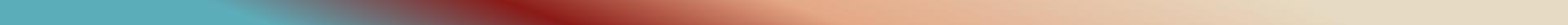 Divider Desktop